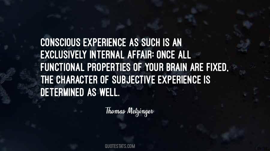 Subjective Experience Quotes #290580