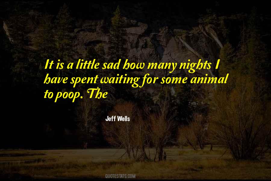 Quotes About Sad Nights #1048353