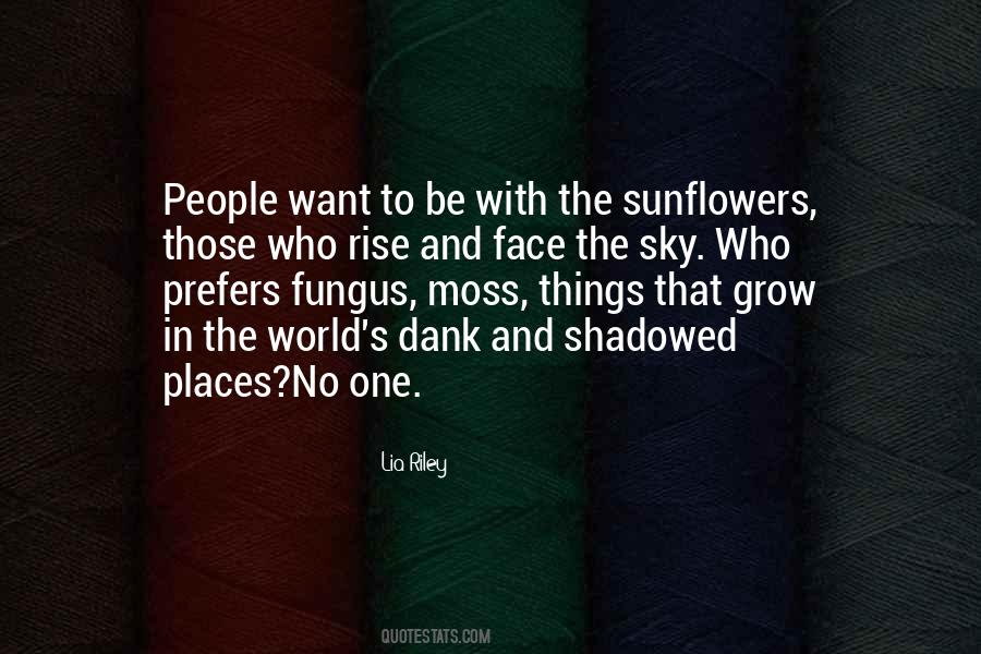 Quotes About Sunflowers #1221147