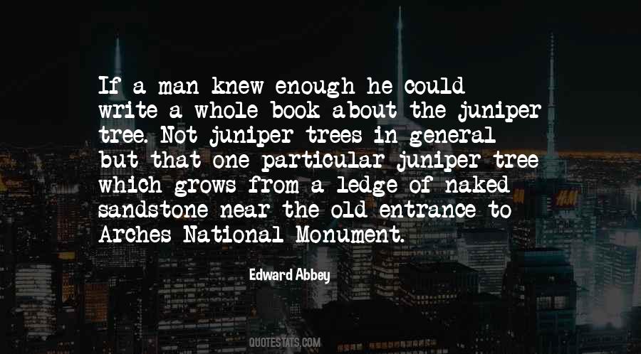 Juniper Trees Quotes #1143790