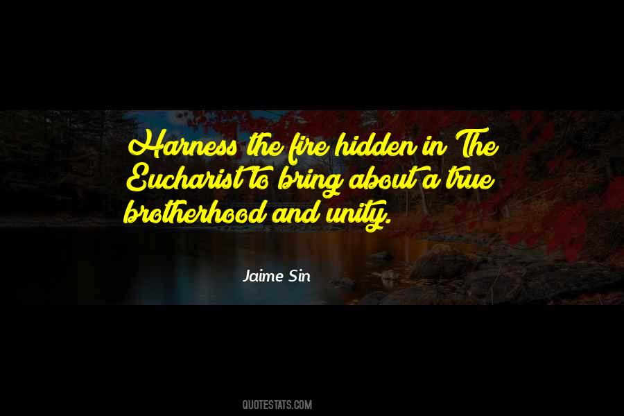 Quotes About Brotherhood And Unity #1429910