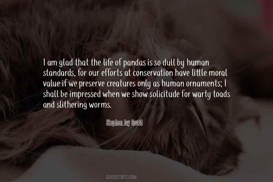 Quotes About Pandas #1028925