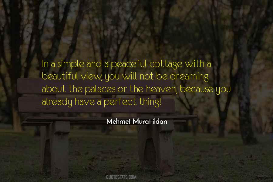Perfect Heaven Quotes #1771949
