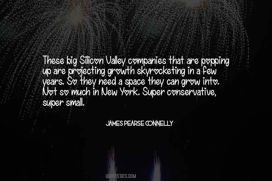 Quotes About Small Companies #1677791