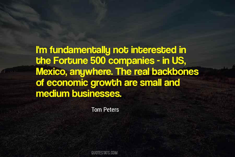 Quotes About Small Companies #326580