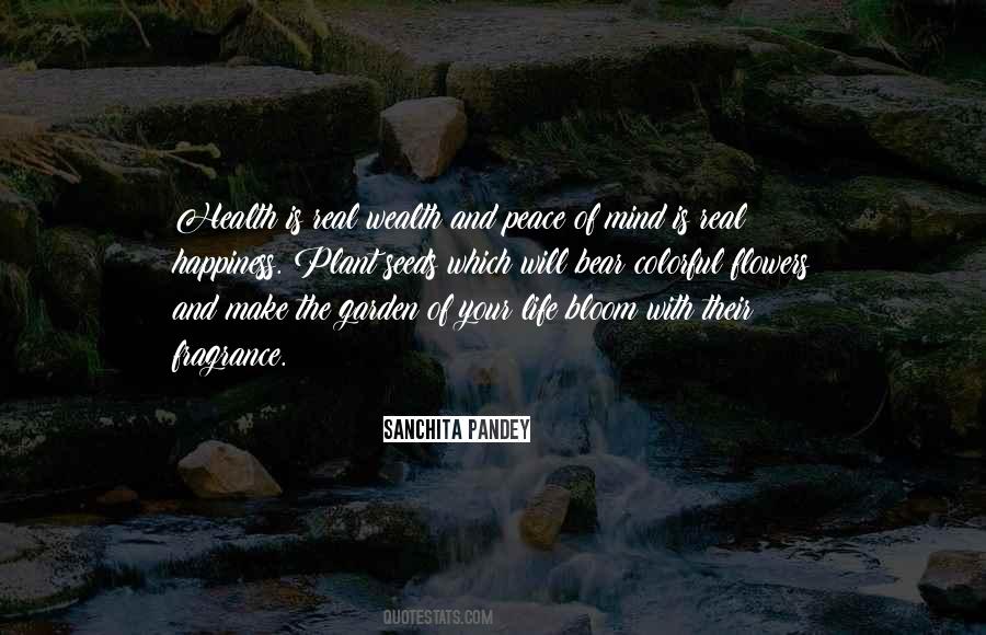 Quotes About Wealth And Health #499891