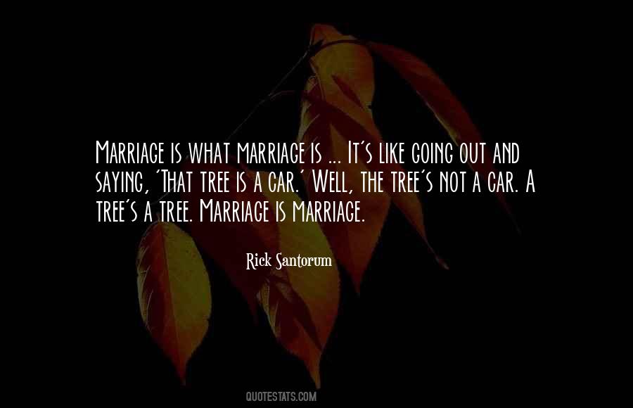 What Marriage Is Quotes #527181