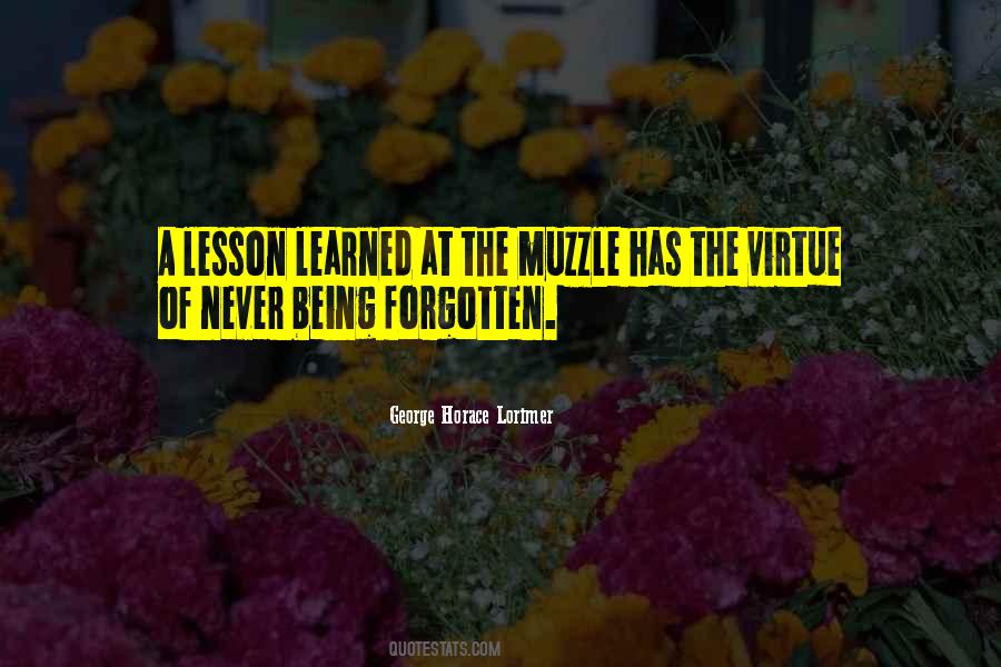 Quotes About Lesson Learned #1848948