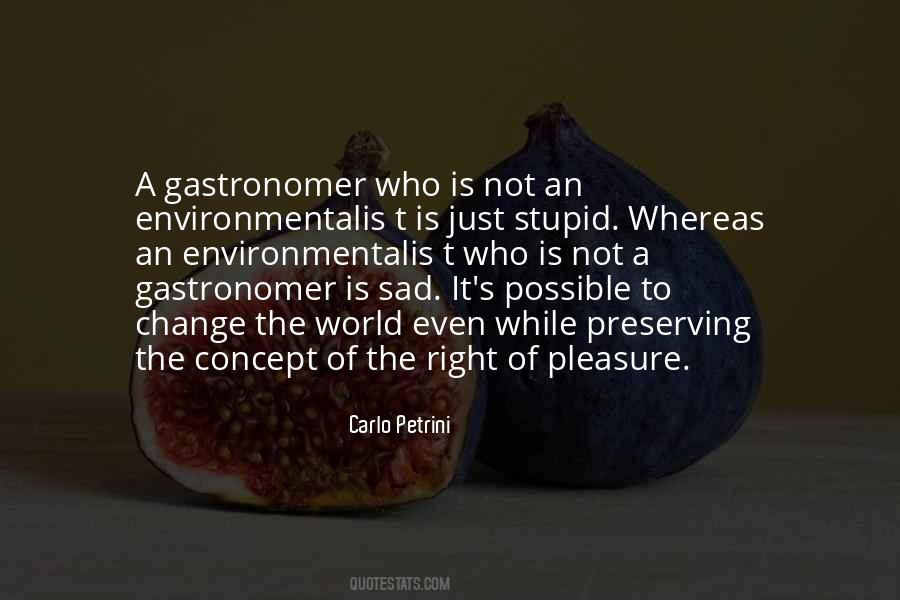 Quotes About Sad Change #224625