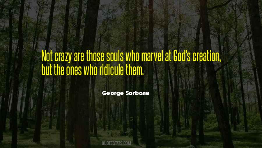 Danesh Razvi Quotes #1791022