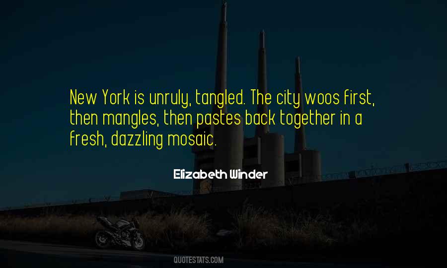 Danesh Razvi Quotes #623258