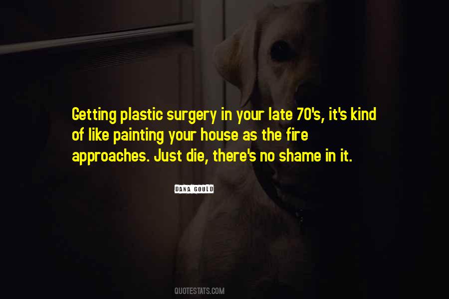 Quotes About Painting A House #903887