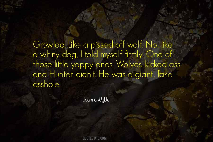Quotes About Pissed Off #1578435
