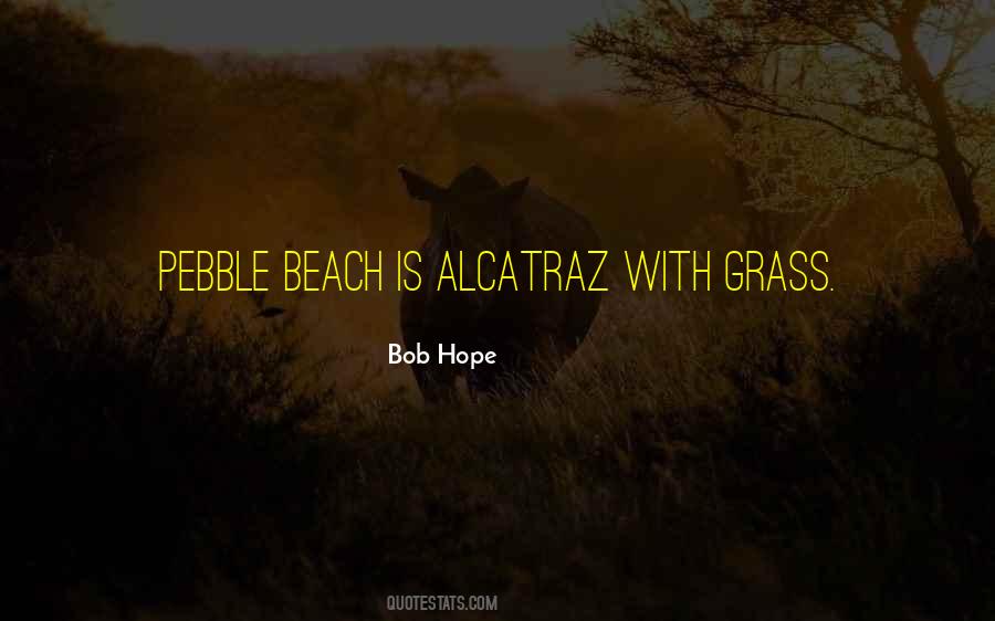 Quotes About Pebbles On The Beach #847037