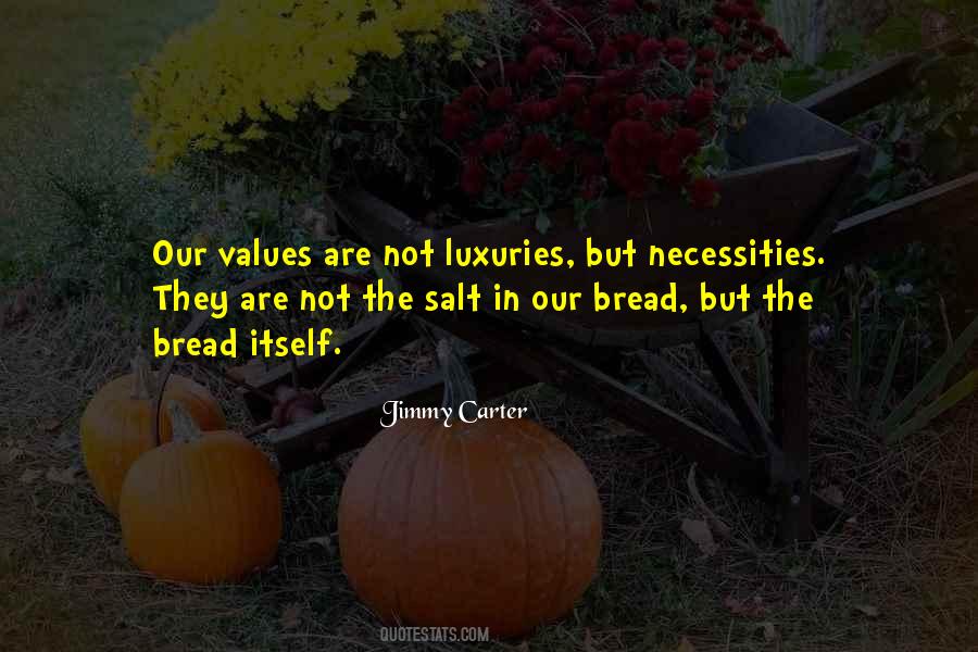 Quotes About Luxuries #385718