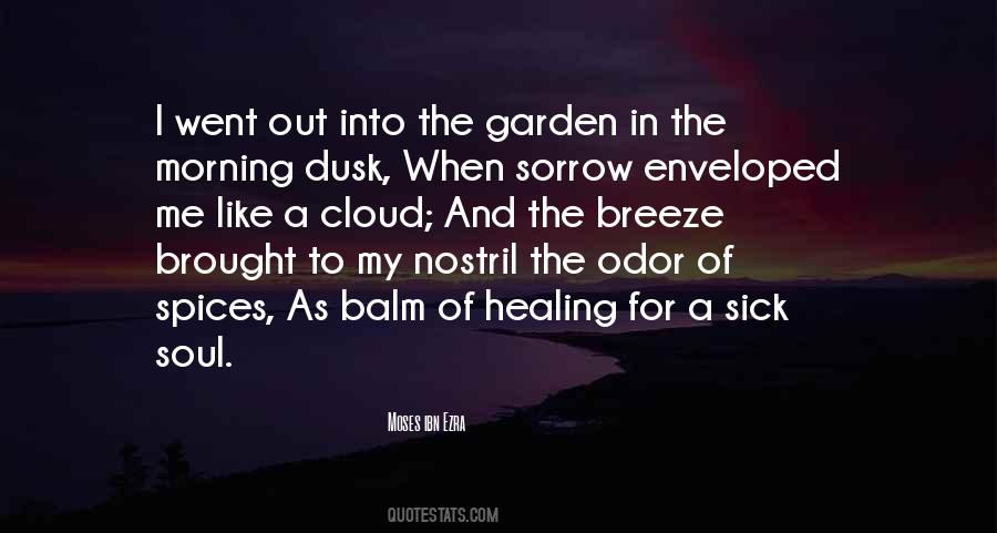 Quotes About Healing The Sick #1631354