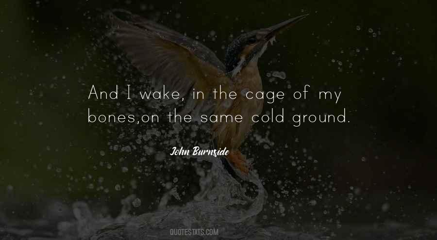 Cage Bird Quotes #1161346