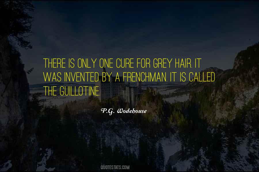 Quotes About Grey Hair #1478822