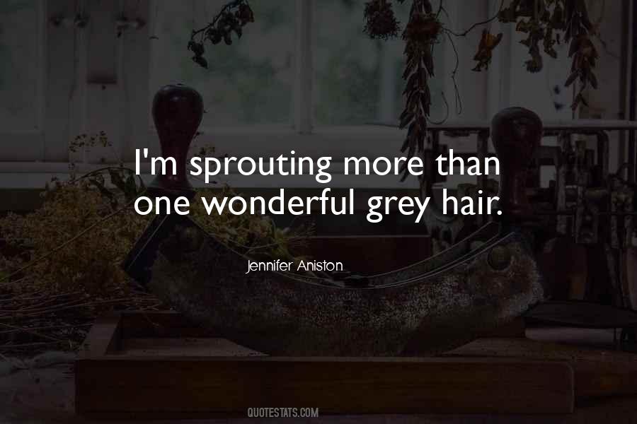 Quotes About Grey Hair #574647