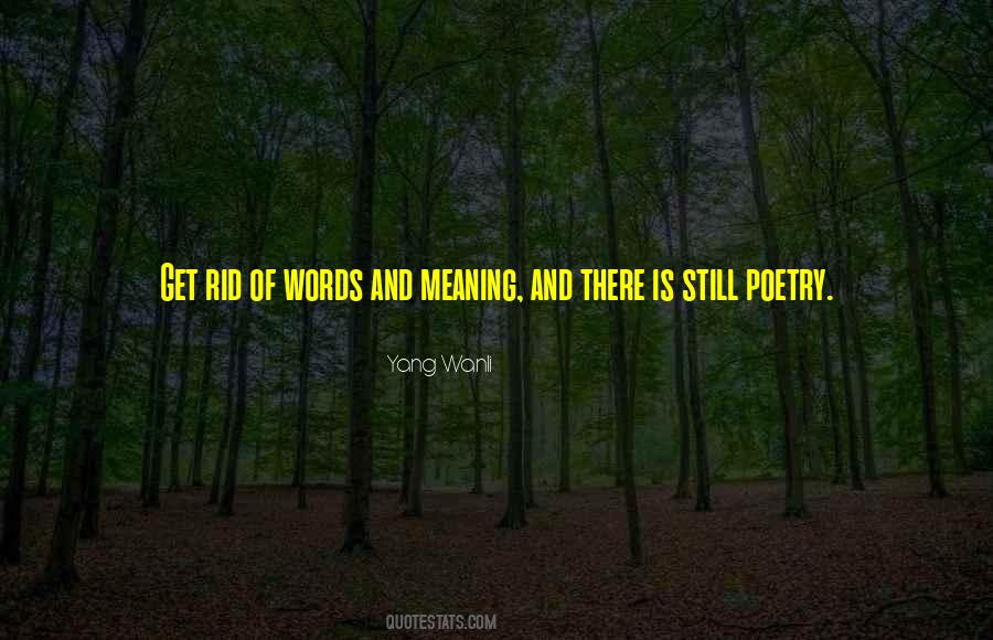 Quotes About Words And Meaning #1256938