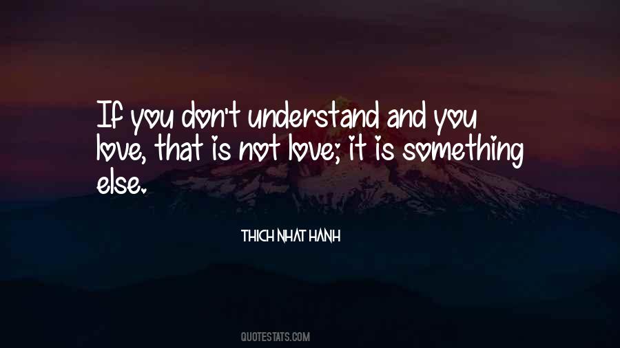 Quotes About You Don't Understand #1308141