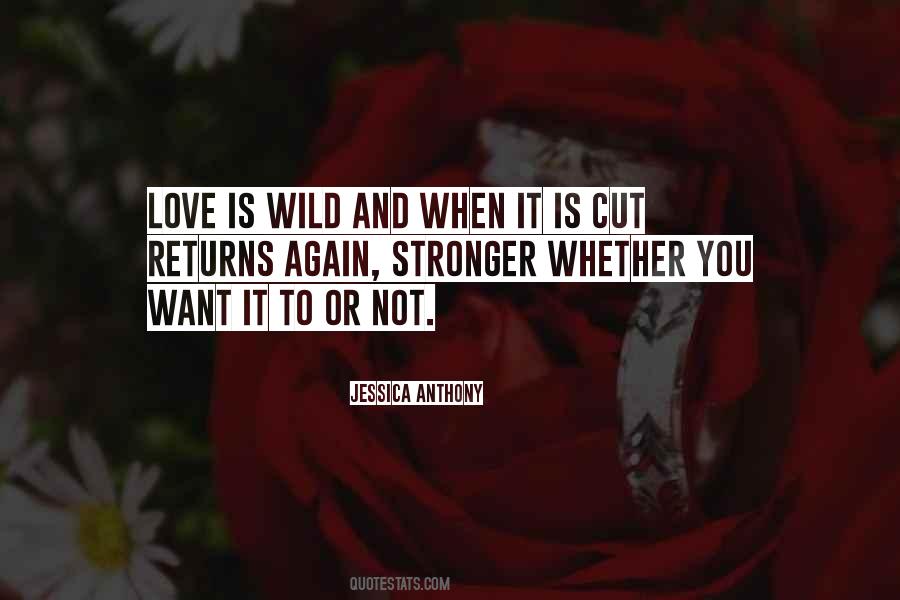 Quotes About Wild Love #28435