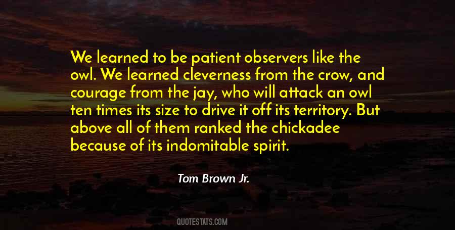 Quotes About Observers #112941