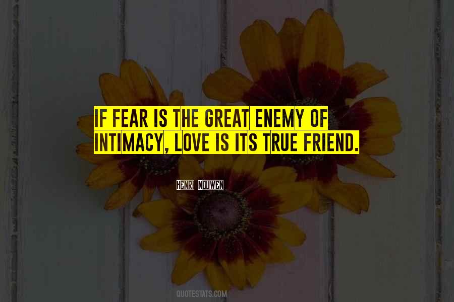 Quotes About Friend And Enemy #218361