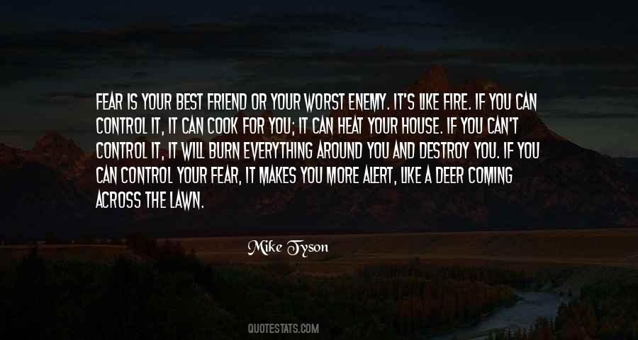 Quotes About Friend And Enemy #69888