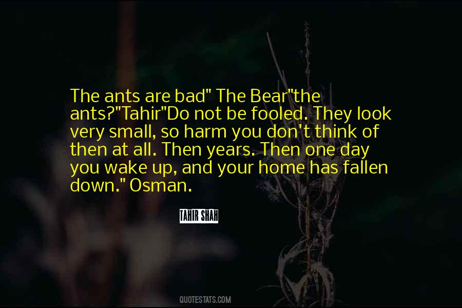 The Bear Quotes #831022