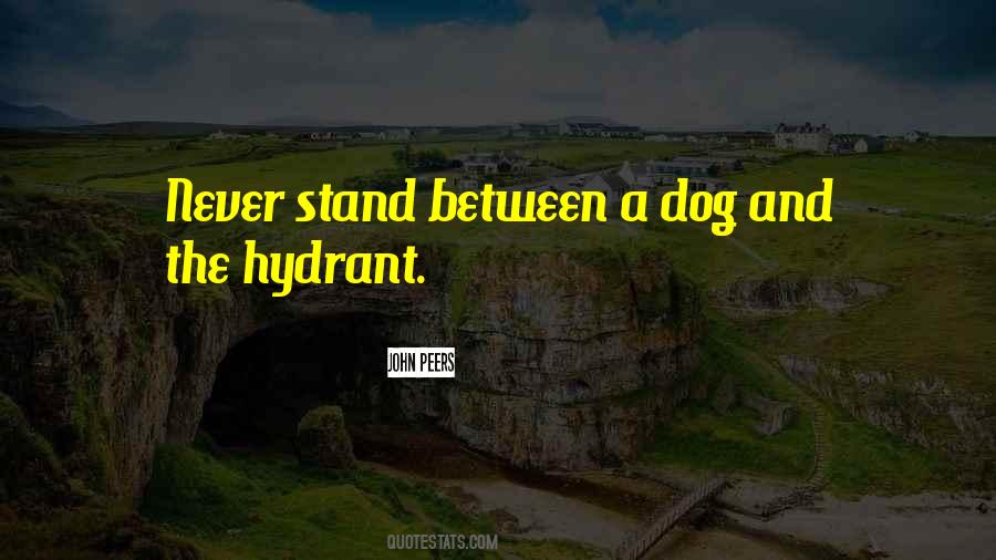 Quotes About Hydrant #1776983