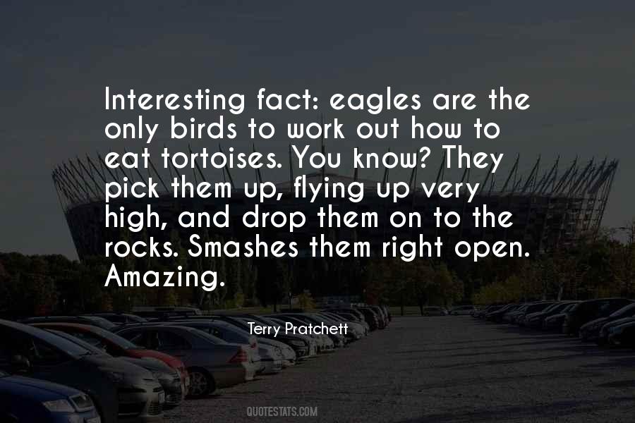Quotes About Eagles Flying #1259075