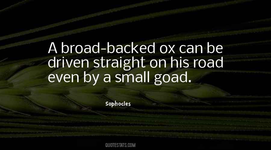 Quotes About Broads #953556