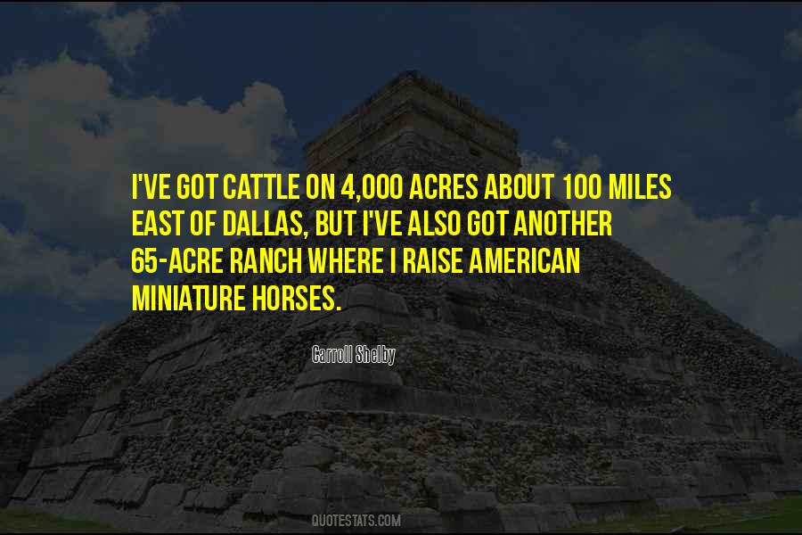 Quotes About Dallas #1444768
