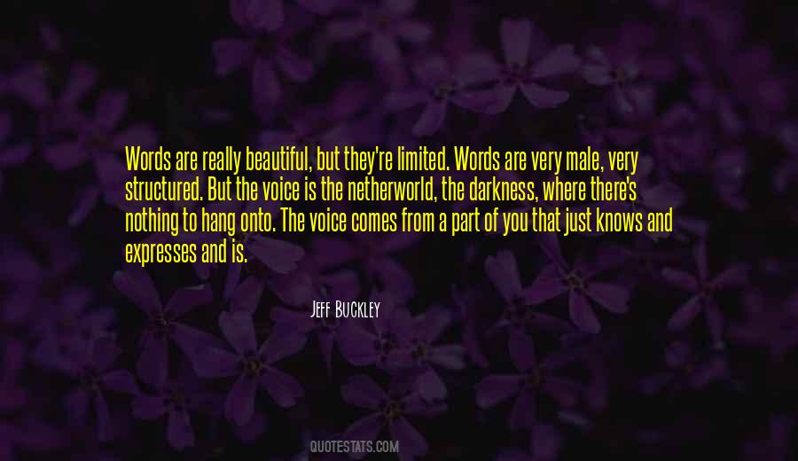 Quotes About A Beautiful Voice #1235485