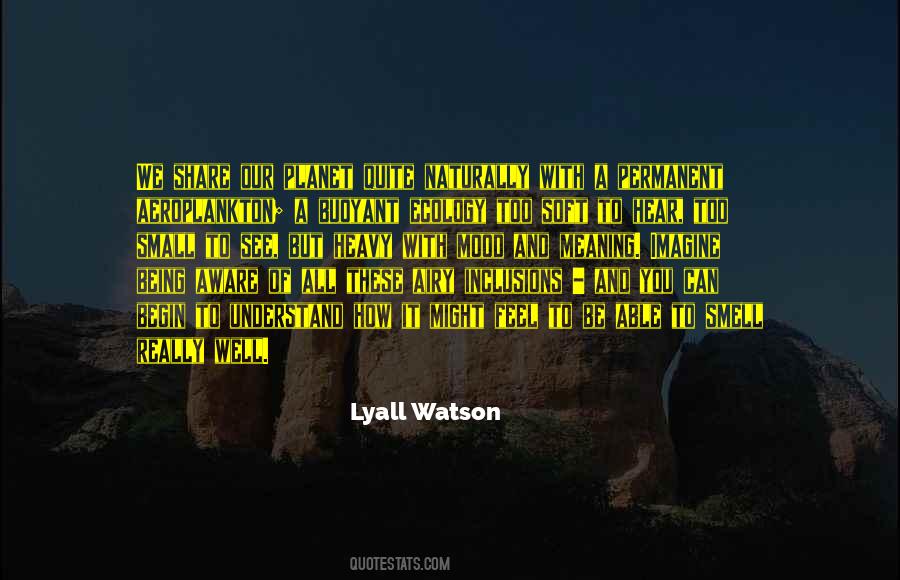 Carotenuto Monuments Quotes #983174