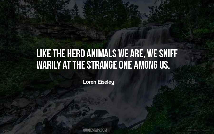 Quotes About Herd Animals #1345166