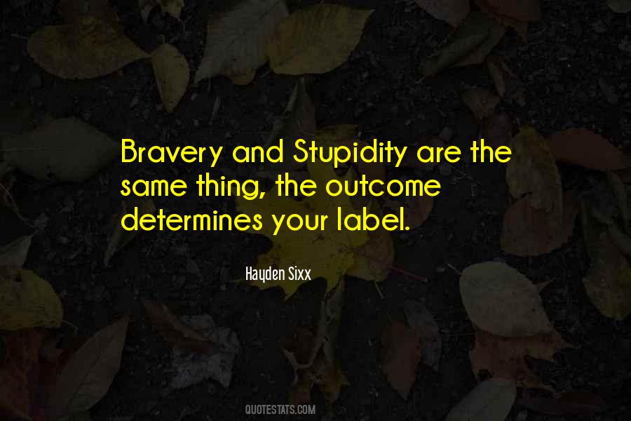 Quotes About Bravery And Stupidity #220432