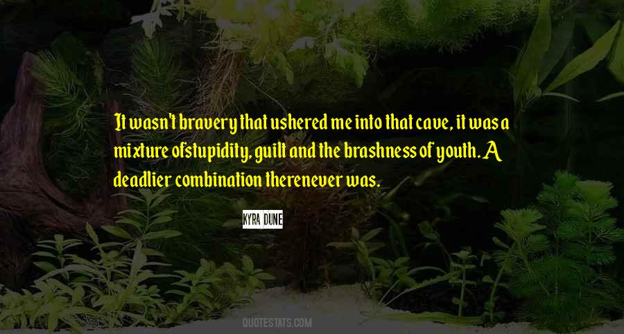 Quotes About Bravery And Stupidity #406238