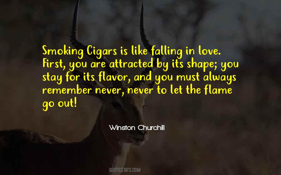Love Flames Quotes #669646
