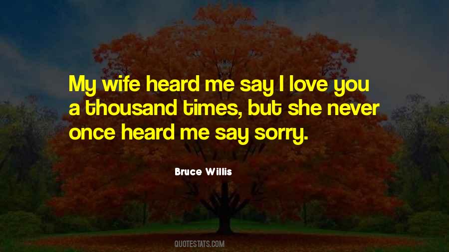 Quotes About Sorry I Love You #1084644