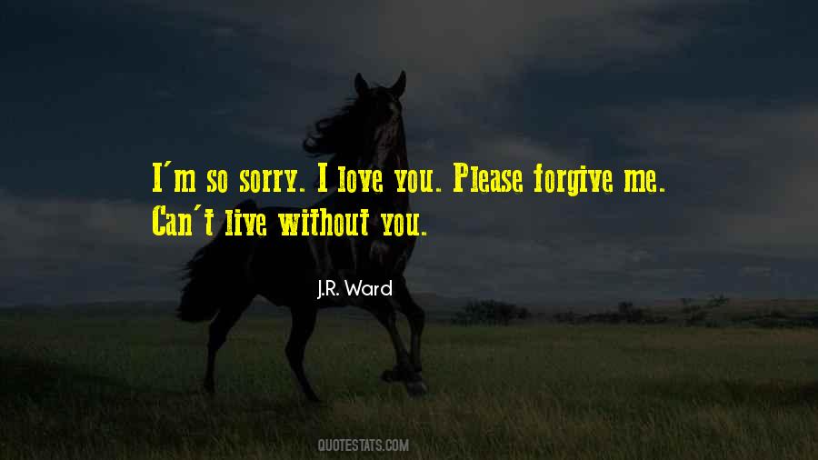 Quotes About Sorry I Love You #426504