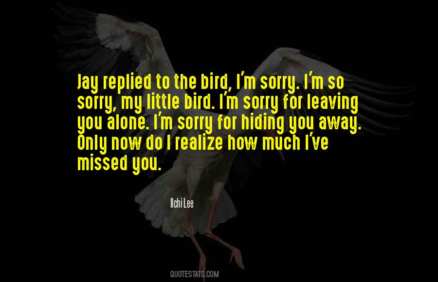 Quotes About Sorry I Love You #858150