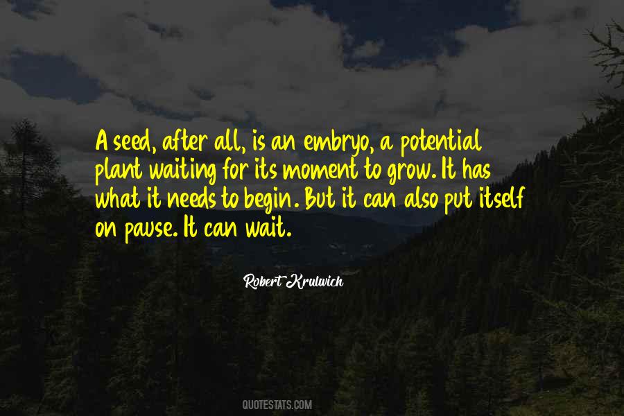 Seed Needs Quotes #1101752