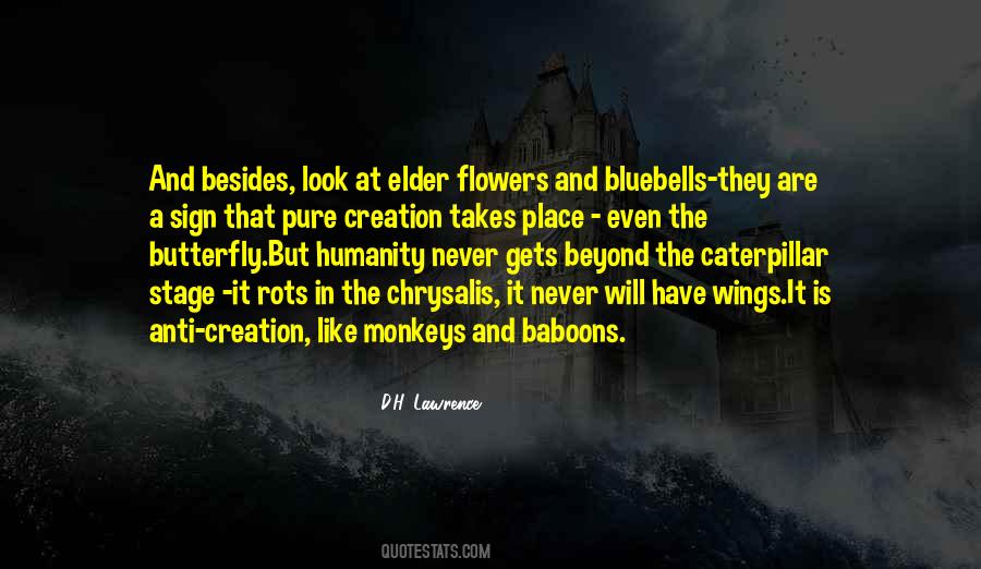 Are Like Flowers Quotes #752862