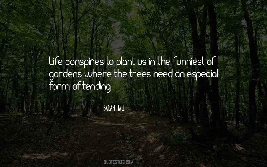 Bond University E8 92 99 E7 Ba B3 E5 A3 Ab E5 A4 A7 E5 Ad A6 E6 Af 95 E4 B8 9a E8 Af 81 E5 8a 9e E7 90 86ing Quotes #118685