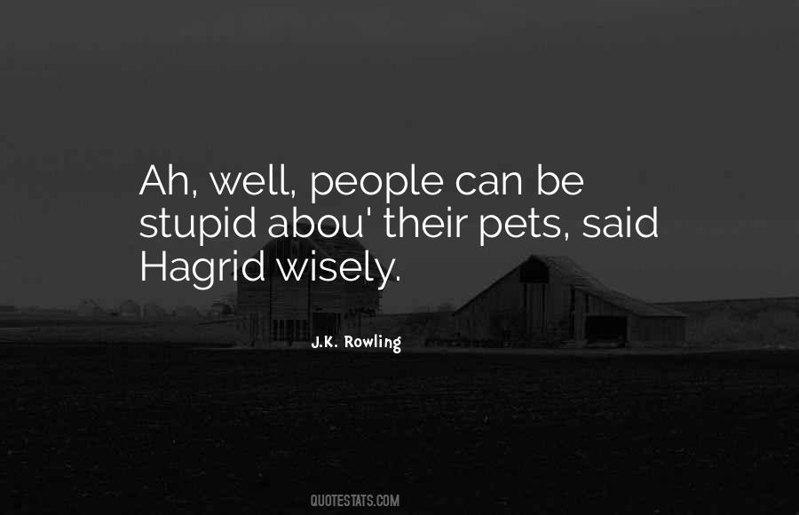 Quotes About Hagrid #1627623