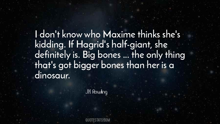 Quotes About Hagrid #1750047