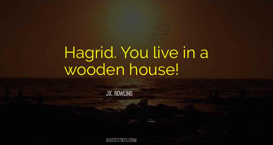 Quotes About Hagrid #306834