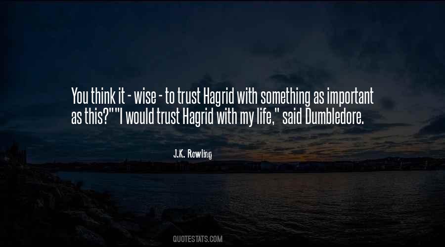 Quotes About Hagrid #805671